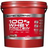 L-Methionine Protein Powders Scitec Nutrition 100% Whey Protein Professional Chocolate 5kg