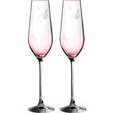 Royal Albert Glasses Royal Albert Friendship Champagne Glass 23.6cl 2pcs