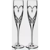 Handwash Champagne Glasses Waterford Love True Love Champagne Glass 20.9cl 2pcs