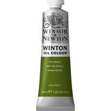 White Oil Paint Winsor & Newton and 37ml Winton Oil Colours Flake White