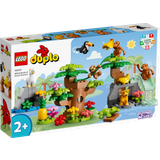 Crocodiles Building Games Lego Duplo Wild Animals of South America 10973