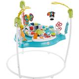 Activity Toys Fisher Price Color Climbers Jumperoo
