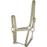 Cob Horse Halters Gatsby Classic 2 Tone Halter with Snap