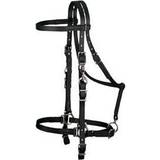 Synthetics Halters & Lead Ropes Weaver Brahma Synthetic Halter Bridle