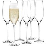 Holmegaard Cabernet Champagne Glass 29cl 6pcs