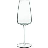 Champagne Glasses Luigi Bormioli Bormiloi, Talismano Prosecco Glasses, Set of 4 Champagne Glass