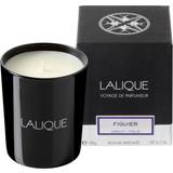 Lalique Figuier, Amalfi 190g Scented Candle