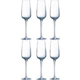 Chef & Sommelier Glasses Chef & Sommelier Sublime Champagne Glass 21cl 6pcs