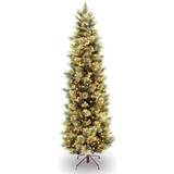 National Tree Company 6.5 ft. Carolina Pine Slim with Clear Lights Christmas Tree