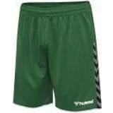 Hummel Authentic Polyester Shorts-green-xs