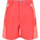 Multicoloured - Shorts Trousers Regatta Childrens/Kids Sorcer II Mountain Shorts (15-16 Years) (Neon Peach/Fusion Coral)