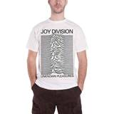 Amplified Joy Division Collection Unknown Pleasures T-Shirt charcoal