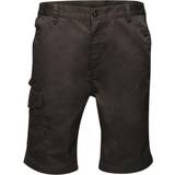 Trousers & Shorts Regatta Mens Pro Cargo Shorts