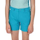 Boys - Shorts Trousers Regatta Highton Walking Shorts - Blue Enamel