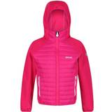 Polyamide - Winter jackets Regatta Kid's Kielder V Hybrid Insulated Jacket- Pink Fusion
