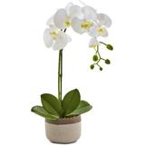 Nearly Natural Artificial Phalaenopsis Orchid in Ceramic Pot