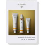 Dr. Hauschka Gift Boxes & Sets Dr. Hauschka Trial Set for Normal Skin
