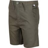 Brown Trousers Children's Clothing Regatta Alber Shorts 3-4