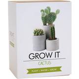 Gift Republic Grow It Cactus