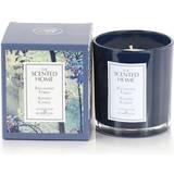 Ash Scented Candles Ashleigh & Burwood Scented Home Glass Candle-Enchanted Forest Scented Candle