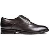 Men Low Shoes Ted Baker Kampten - Brown