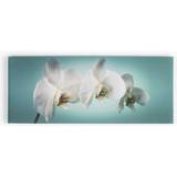 Wall Decorations on sale Graham & Brown For The Home Teal Orchid Canvas Framed Art