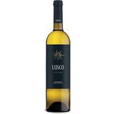 Wines Lusco 2021