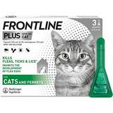 Pets Frontline Plus Flea & Tick Treatment 3-Pack