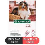 Advantage Pets Advantage Large Dogs 21-55lbs