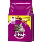 Whiskas Cats - Dry Food Pets Whiskas 1+ Chicken 7kg