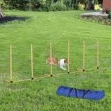 Pawhut Dog Agility Obstacle Course Set