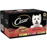 Cesar dog food Cesar Classics Terrine Dog Food Trays 8x150g
