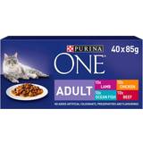 Purina ONE Pets Purina ONE Adult Cat Mini Fillets In Gravy 40x85g