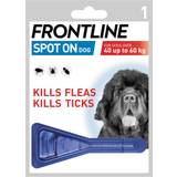 Frontline medium dogs Frontline Spot On Dog 10-20