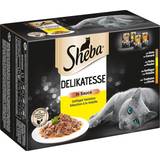 Sheba Pets Sheba Select Slices Cat Food Pouches Fish Gravy