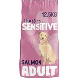 Burgess Sensitive Adult Salmon and Rice 12.5kg 18917