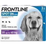 Frontline Dogs Pets Frontline Spot On Dogs 20-40 pipettes