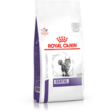 Royal Canin Dental Adult Dry Cat Food 3