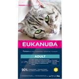 Eukanuba Cats Pets Eukanuba Dry Cat Food 15% Off!*