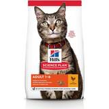 Hills Cats - Dry Food Pets Hills Science Plan Adult Chicken 10kg