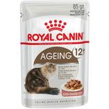 Royal canin ageing 12 Royal Canin Ageing 12+ In Gravy 85g