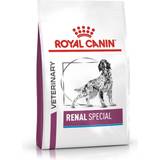 Royal canin renal dog Royal Canin s Renal Special Dry Dog Food