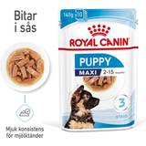 Royal Canin Pets on sale Royal Canin Wet Maxi Puppy Saver Pack: