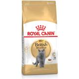 Royal Canin Pets Royal Canin British Shorthair Adult Dry Cat Food 10