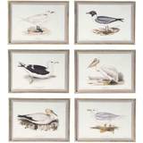 Dkd Home Decor Fåglar (70 x 2,5 x 50 cm) (6 antal) Framed Art