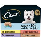 Cesar 150g Senior 10+ Dog Meaty Jelly