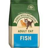James Wellbeloved Cats Pets James Wellbeloved Adult Cat Fish 10kg