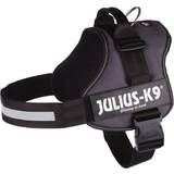 Trixie Julius-K9® Powerharness® dog harness, anthracite