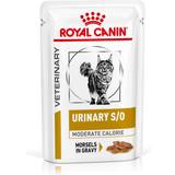 Royal Canin Cats - Wet Food Pets Royal Canin Urinary S/O Moderate Calorie 12x85g