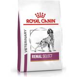 Royal canin renal dog Royal Canin s Renal Select Dry Dog Food 10
